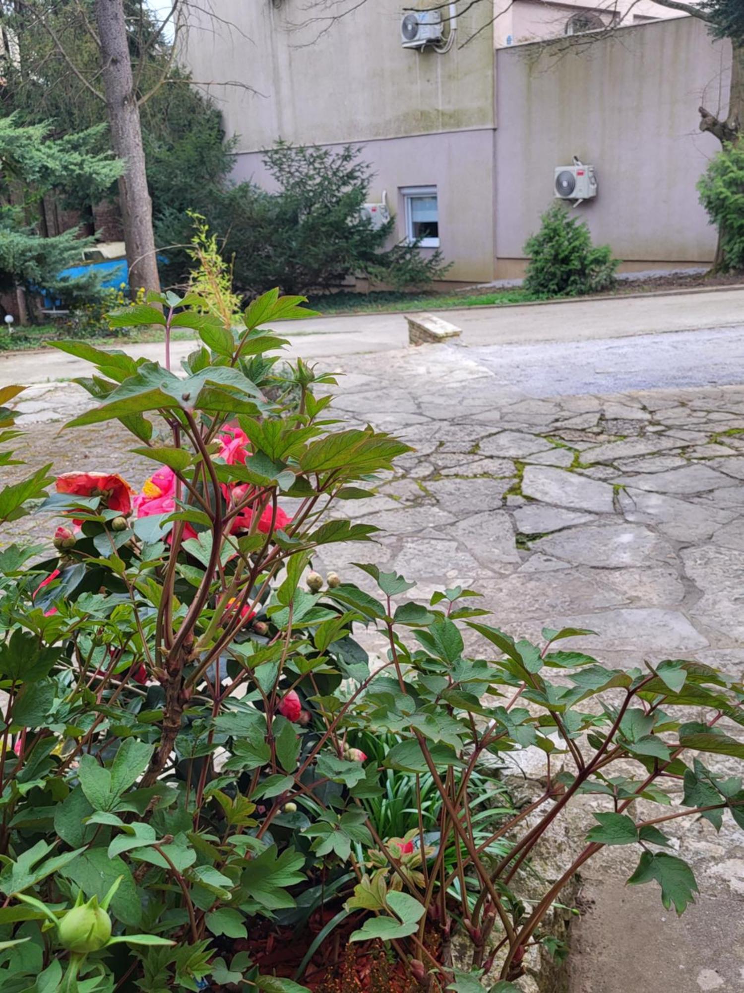 Villa Vino & Grad 자그레브 외부 사진
