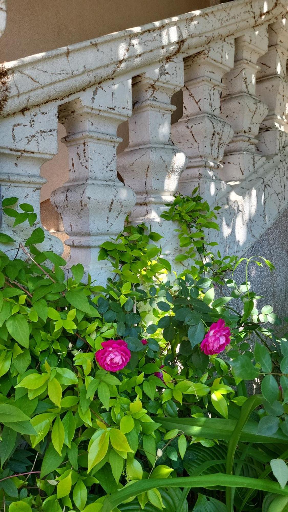 Villa Vino & Grad 자그레브 외부 사진